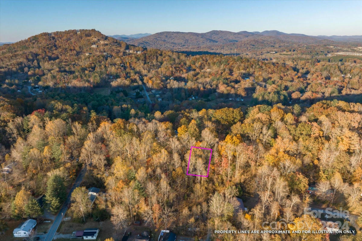 000 RISING VIEW DRIVE # 114, HENDERSONVILLE, NC 28791, photo 1 of 20