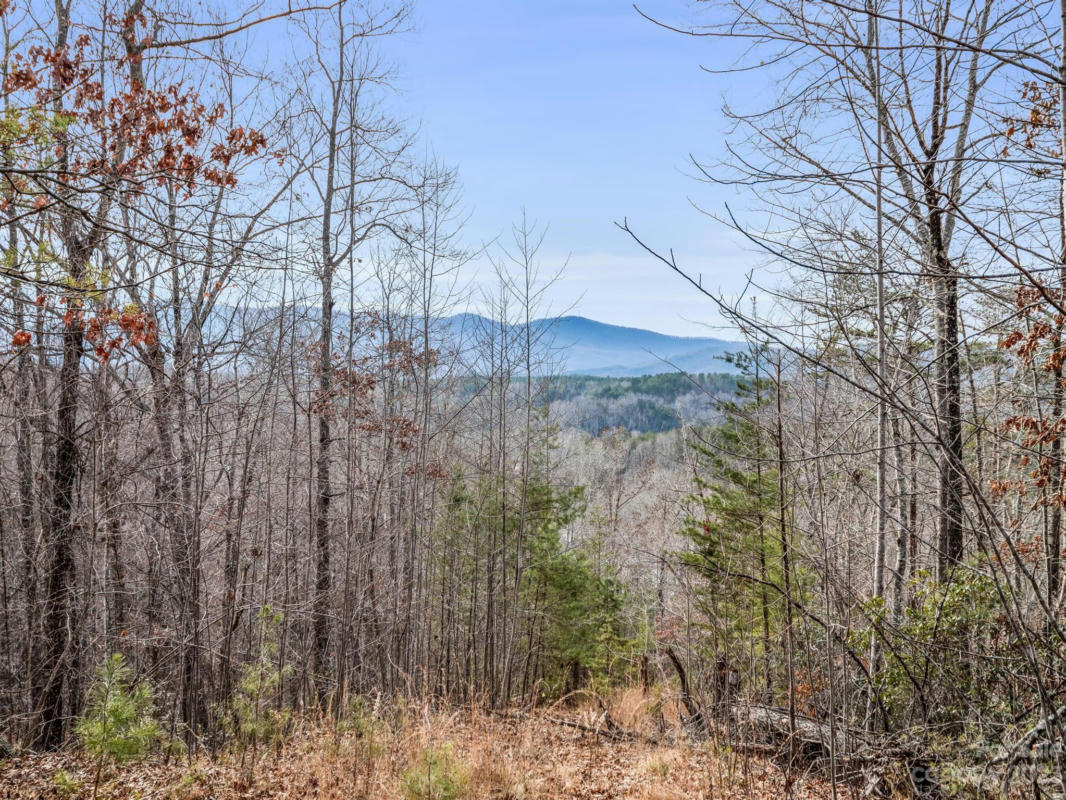 LOT 4 PARKWAY NORTH ROAD # 4, MILL SPRING, NC 28756, photo 1 of 35