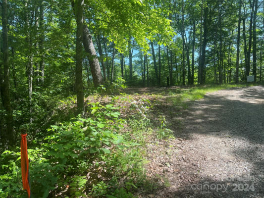 19 CATAWBA RDG, MAGGIE VALLEY, NC 28751, photo 3 of 17