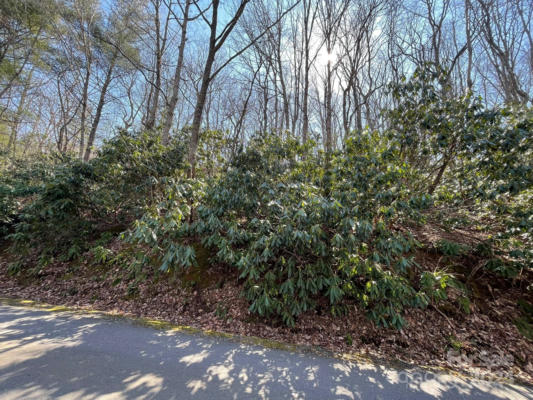 111 DEER RUN LN # 40, ASHEVILLE, NC 28805, photo 4 of 7