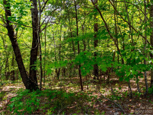 2009 DEEP GAP FARM W, MILL SPRING, NC 28756, photo 5 of 5