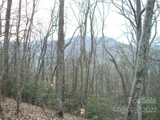 0 ANGLERS RIDGE ROAD # B1, B2,B3,B4, MAGGIE VALLEY, NC 28751, photo 2 of 24