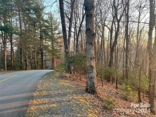 TBD CONNESTEE TRAIL, BREVARD, NC 28712, photo 2 of 5