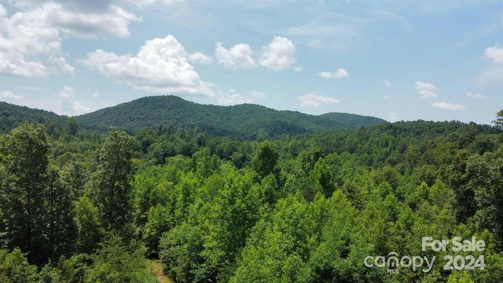 15159 HWY 226 SOUTH, UNION MILLS, NC 28167, photo 1 of 15