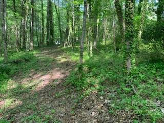 3 LOTS COUNTRY CLUB ROW # A,B,C, HENDERSONVILLE, NC 28739 - Image 1