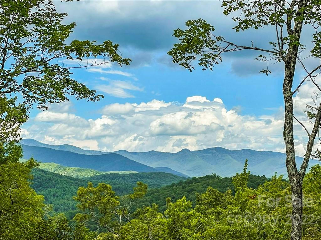 TBD RICHLAND RIDGE ROAD, LAKE TOXAWAY, NC 28747, photo 1 of 45