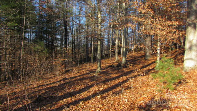 00 HIGH PEAK DRIVE # 61, BURNSVILLE, NC 28714, photo 5 of 22