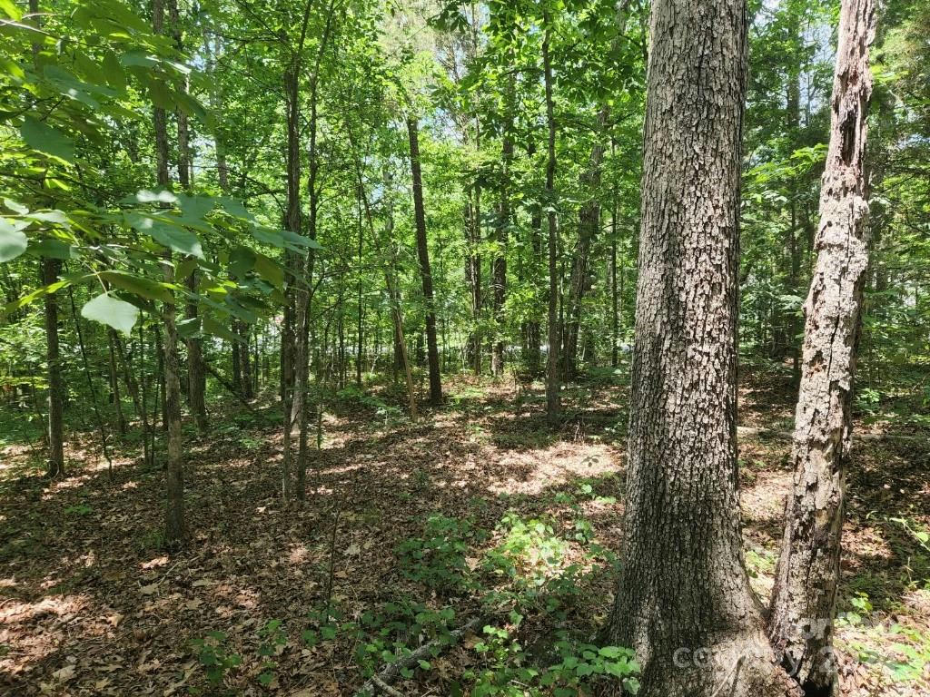 LOT 22-23 PILGRIM FOREST DRIVE, WESLEY CHAPEL, NC 28110, photo 1 of 11