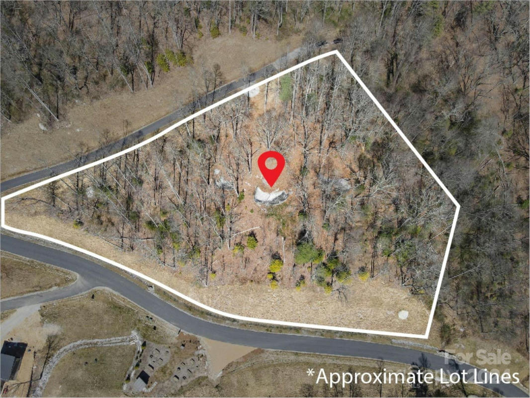 99999 NEW SPROUT LANE # 2, HENDERSONVILLE, NC 28792, photo 1 of 30