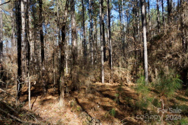 4+/- AC SKYLINE RD LOT #2 SKYLINE ROAD # 2, CHESTER, SC 29706, photo 2 of 6