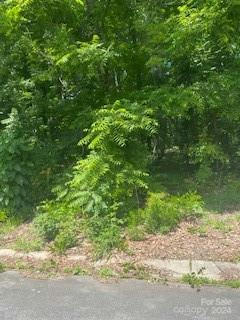 LOT 6-7 RIDGELINE DRIVE, SALISBURY, NC 28146, photo 1