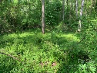 3 LOTS COUNTRY CLUB ROW # A,B,C, HENDERSONVILLE, NC 28739, photo 4 of 24