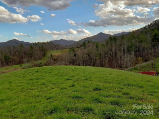 523 LOWER PAW PAW RD, MARSHALL, NC 28753 - Image 1