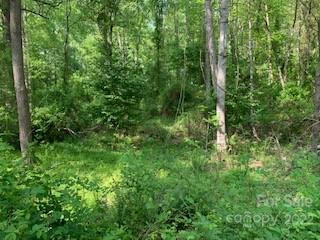 3 LOTS COUNTRY CLUB ROW # A,B,C, HENDERSONVILLE, NC 28739, photo 5 of 24