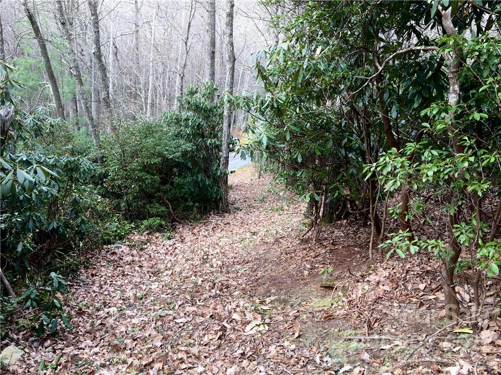 TBD ROCK SPRINGS ROAD # 10, FAIRVIEW, NC 28730, photo 1 of 17