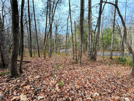 LOT 7 AZALEA WAY, SALUDA, NC 28773, photo 2 of 13