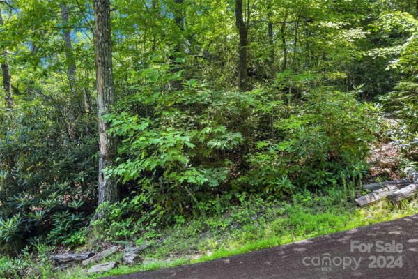 144 GALAX DR # T-42, BLACK MOUNTAIN, NC 28711, photo 5 of 31