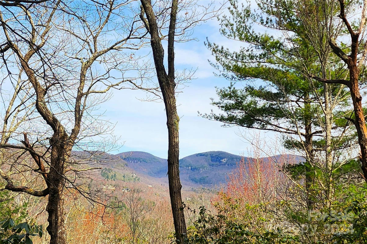 24 LAKESIDE TRL, LAKE TOXAWAY, NC 28747, photo 1 of 8