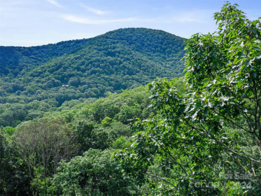 000 FALLING WATER DRIVE, BURNSVILLE, NC 28714 - Image 1