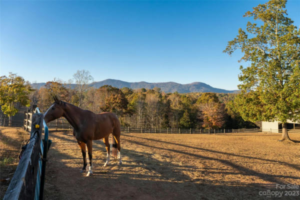 777 S RIVER RD, TRYON, NC 28782, photo 3 of 48