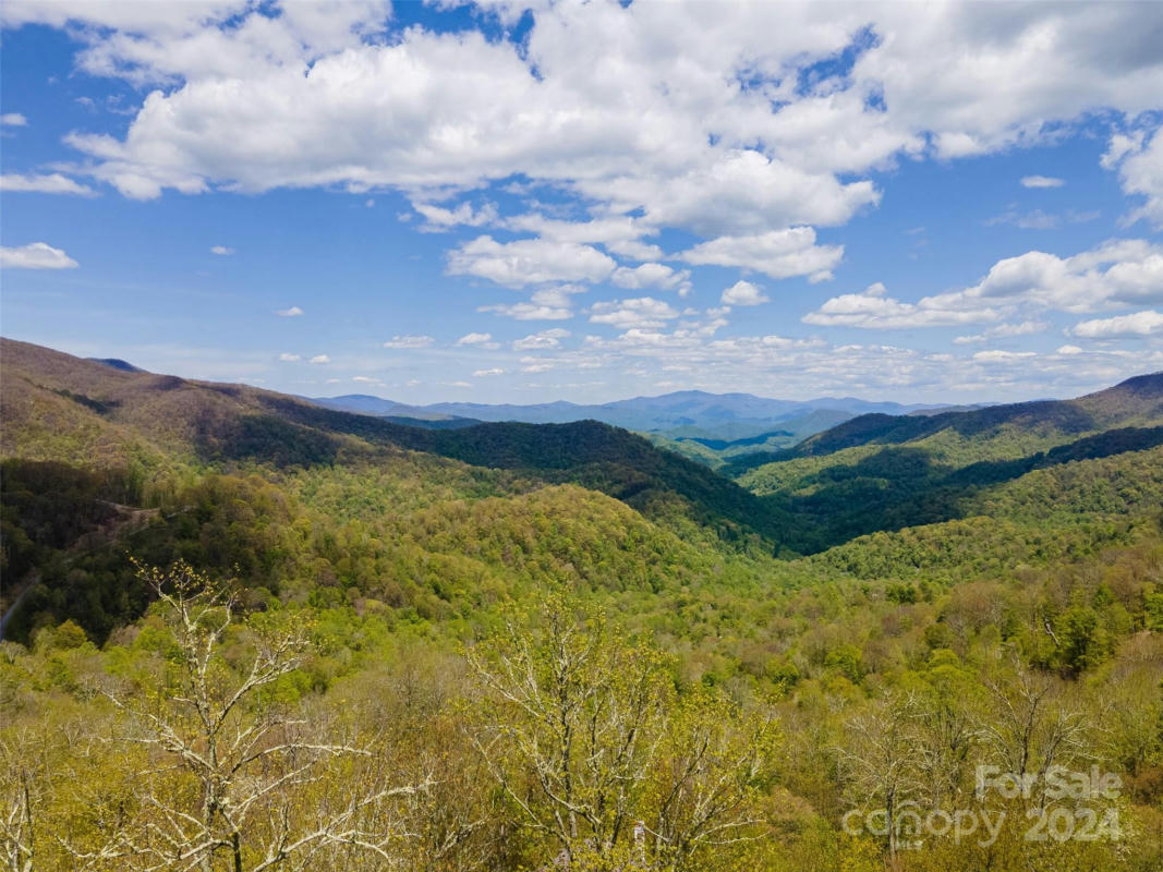 93 GOLDEN LEAF RD # 93, MARS HILL, NC 28754, photo 1 of 22