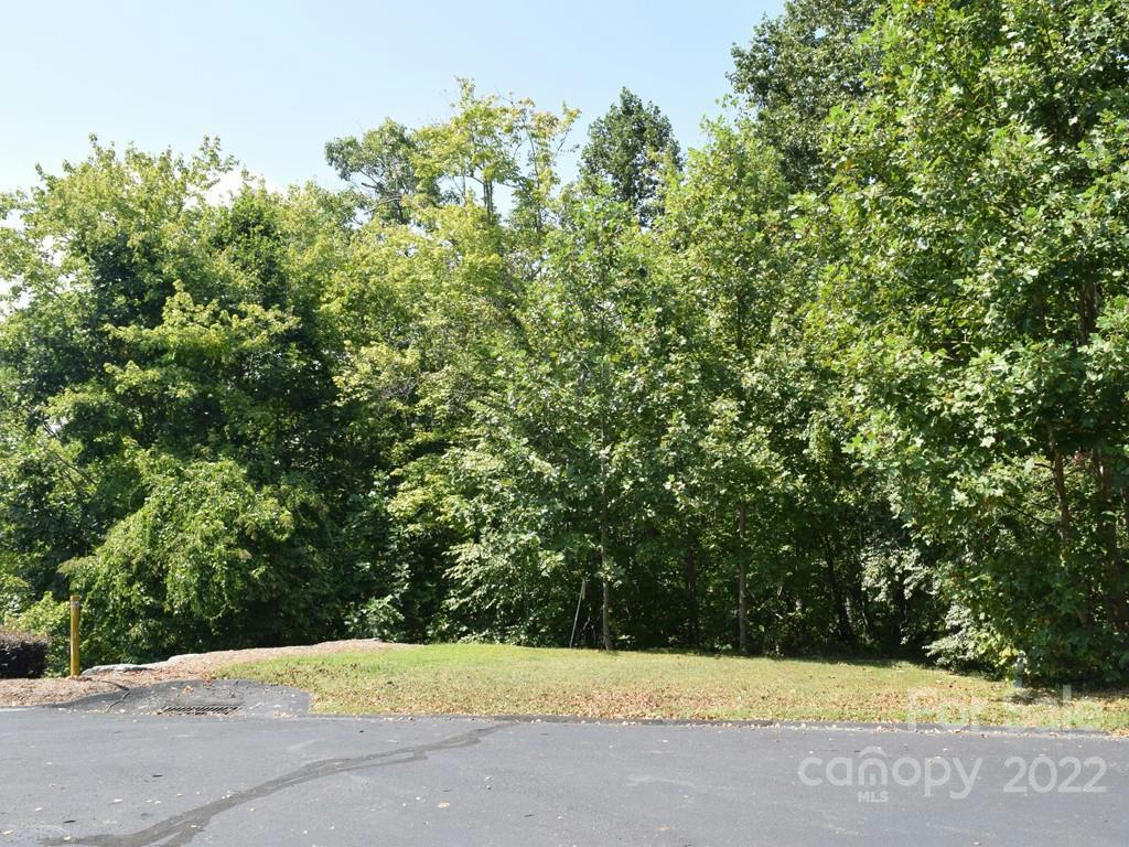 324 MOUNTAIN CREST DR # 38, HENDERSONVILLE, NC 28739, photo 1 of 37
