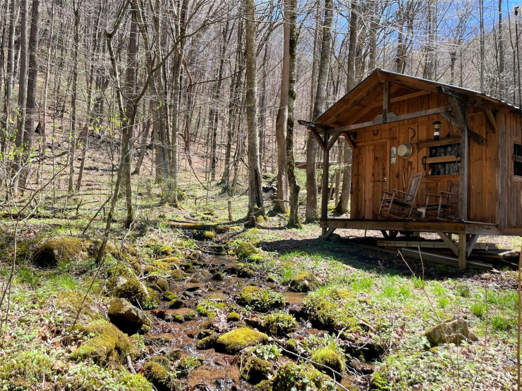 00 POPLAR CREEK ROAD, GREEN MOUNTAIN, NC 28714, photo 1 of 22