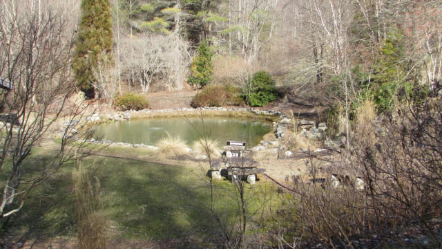 7 RED WOLF LN, MARS HILL, NC 28754, photo 3 of 27