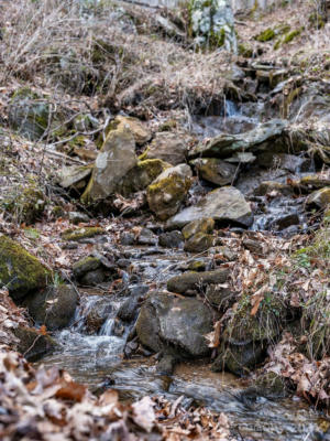 0000 LYNN COVE ROAD, ASHEVILLE, NC 28804, photo 2 of 7