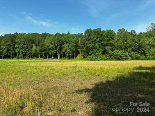 000 BIG LEVEL ROAD, MILL SPRING, NC 28756 - Image 1