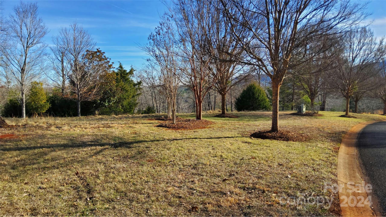 0 MOUNTAIN PARKWAY # 52/53/54, MILL SPRING, NC 28756, photo 1 of 28