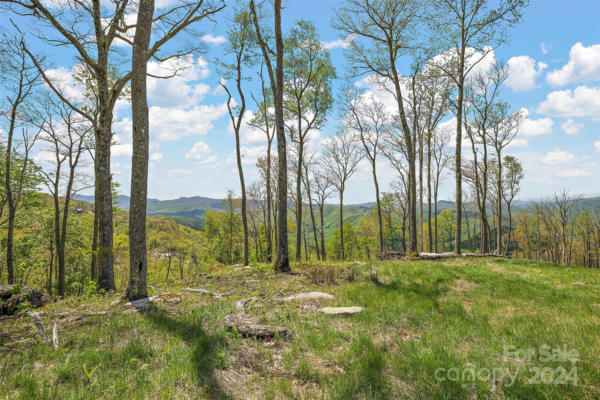 LOT S-123 SILVER EAGLE TRAIL # S-123, BANNER ELK, NC 28622, photo 2 of 30