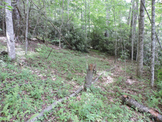 00 SOUTH TOE RIVER ROAD # LOT 2, BURNSVILLE, NC 28714, photo 4 of 28