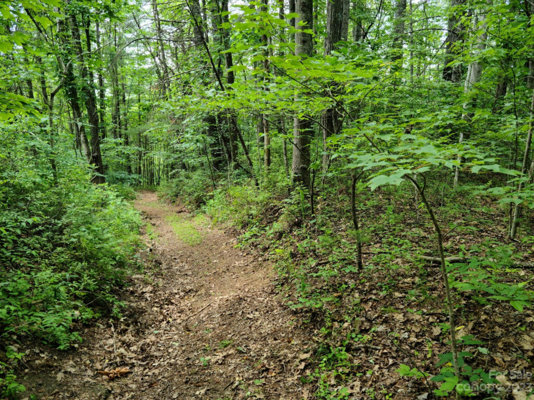 99999 PARKER COVE RD, WEAVERVILLE, NC 28787, photo 1 of 2