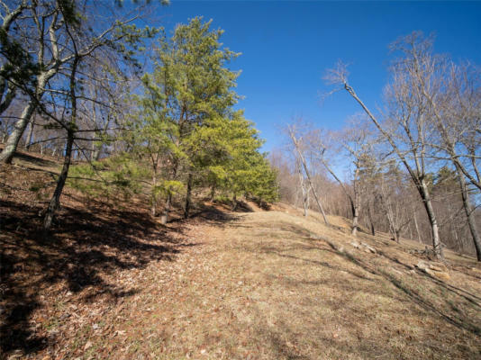 43 SUMMIT TOWER CIR # 235, ASHEVILLE, NC 28804, photo 5 of 22