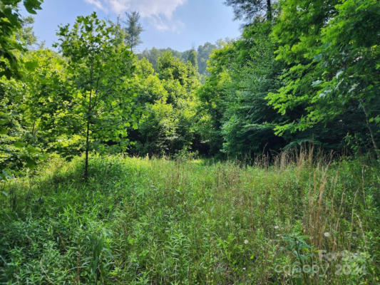 00 HICKORY NUT RIDGE ROAD, BURNSVILLE, NC 28714, photo 5 of 34