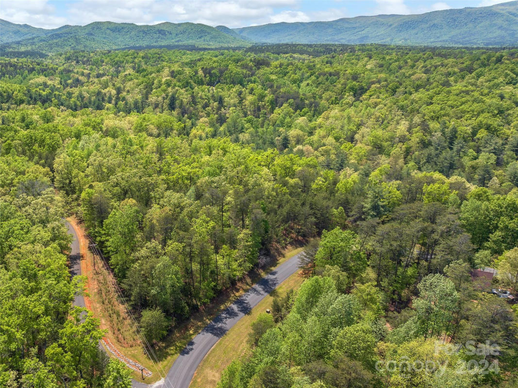 000 LAKE ADGER PARKWAY LOT # 4, MILL SPRING, NC 28756, photo 1 of 25