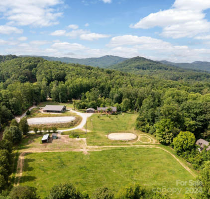 168 EDWARDS MOUNTAIN DR, HENDERSONVILLE, NC 28792 - Image 1