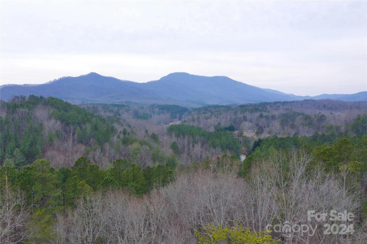 1140 HWY 9 HIGHWAY, MILL SPRING, NC 28756, photo 1 of 37