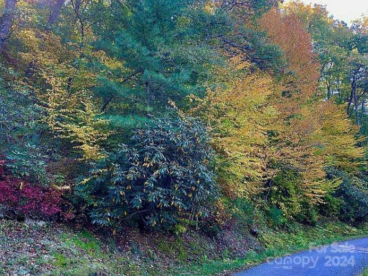 LOT 5 & 6 WOODS MOUNTAIN TRAIL, CULLOWHEE, NC 28723, photo 3 of 22