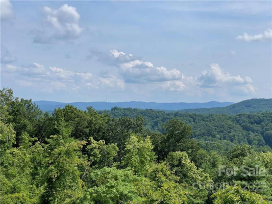 W12 CURTAIN BLUFF # WOODLANDS 12, HENDERSONVILLE, NC 28791 - Image 1