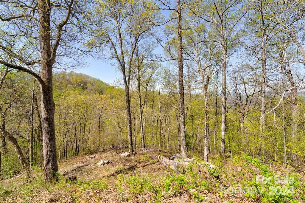 740 GLEN VALLEY DR # 203, WEAVERVILLE, NC 28787, photo 1 of 26