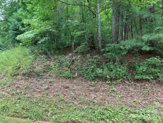 LOT 49-50 MCKENZIE WAY S, OLD FORT, NC 28762, photo 2 of 9