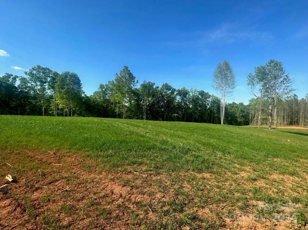 0000 LAKE ADGER ROAD, MILL SPRING, NC 28756, photo 1 of 5