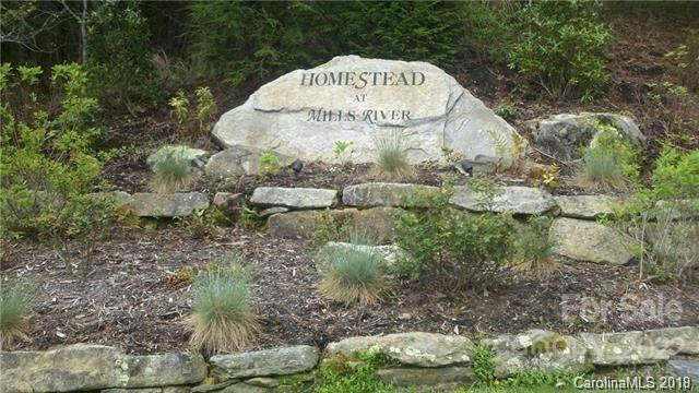 35R MILLS RIVER WAY, HORSE SHOE, NC 28742, photo 3 of 8