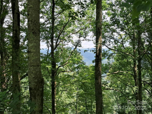 00 HURRICANE RIDGE TRACE # 53, CLYDE, NC 28721, photo 5 of 15