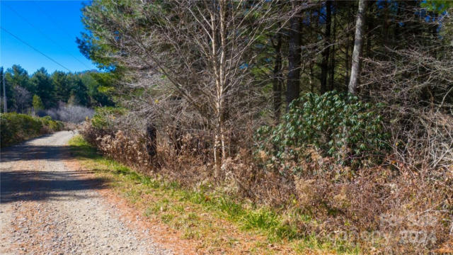 197 EAGLE BALD TRAIL # LOT 34, BURNSVILLE, NC 28714, photo 4 of 19