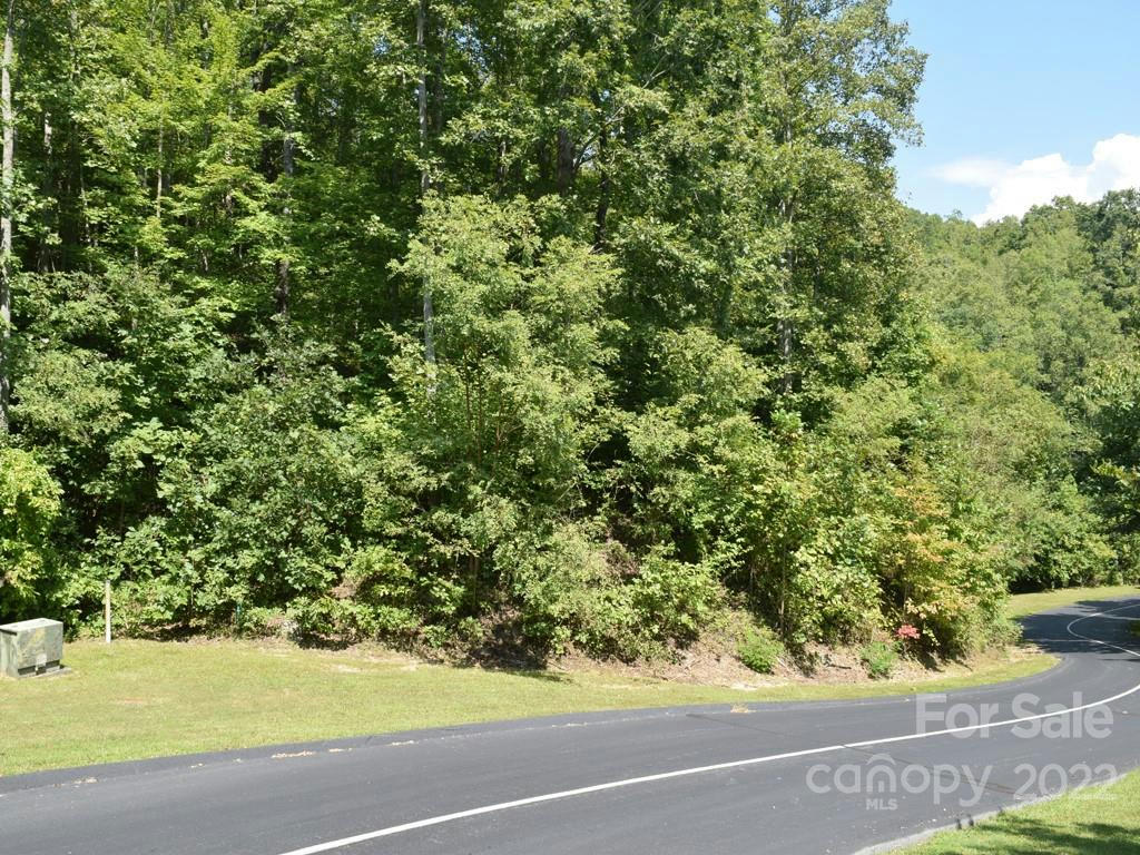 216 MOUNTAIN CREST DR # 34, HENDERSONVILLE, NC 28739, photo 1 of 34
