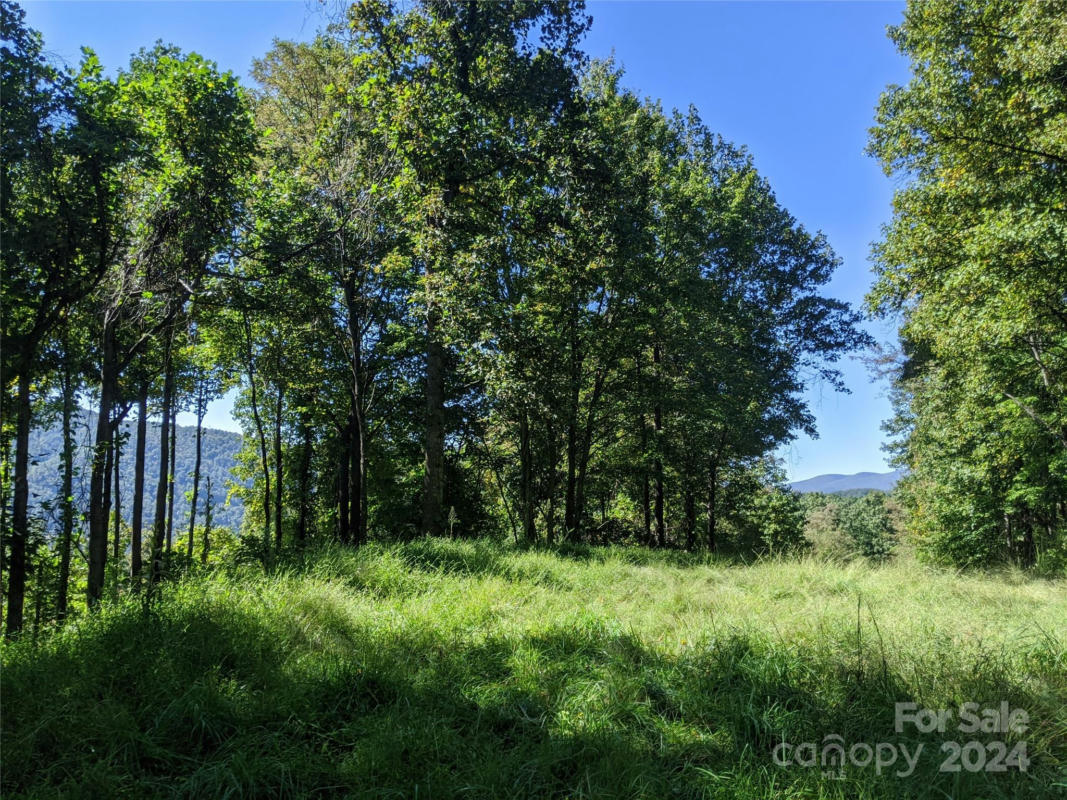 501 WARBLER LN # T-62, BLACK MOUNTAIN, NC 28711, photo 1 of 33