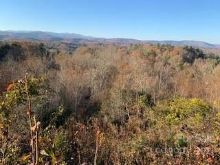 TRACTS OFF PLEASANT GROVE PLEASANT GROVE ROAD # TOTAL: 10+ ACRES, HENDERSONVILLE, NC 28739, photo 2 of 23